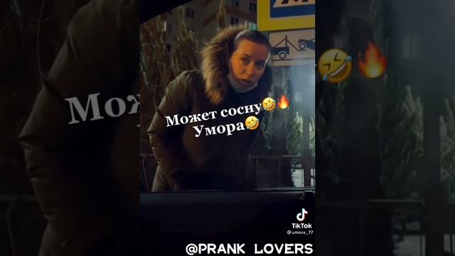 умора