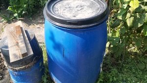 Свежий куриный помёт для сада. Что будет? Наглядно