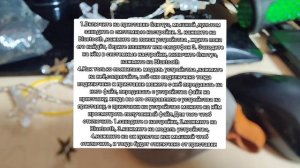 Как подключить к Tv приставке устройство по Bluetooth ?