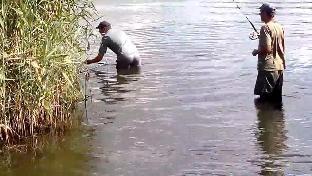 Рыбалка  Самара  Новоселовка