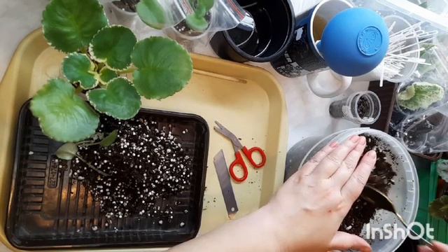 29 декабря 2023 г. смотреть онлайн