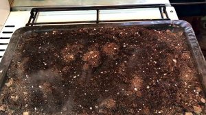 Земля для рассады/Обработка почвы в домашних условиях#ПОЧВА