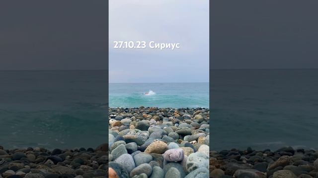 27.10.2023. Погода в Сочи в октябре. Смотри на Чёрное море каждый день. #черноеморекаждыйдень