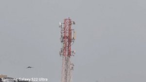 Apple iPhone 15 Pro Max vs Samsung Galaxy S22 Ultra Live Zoom Test