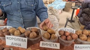 РАННИЕ СОРТА КАРТОФЕЛЯ ИЛИ КАК ПОЛУЧИТЬ РАННИИЙ УРОЖАЙ