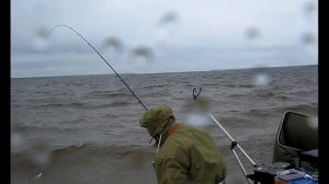 Ловля леща на фидер на Рыбинке, Рыбинском водохранилище