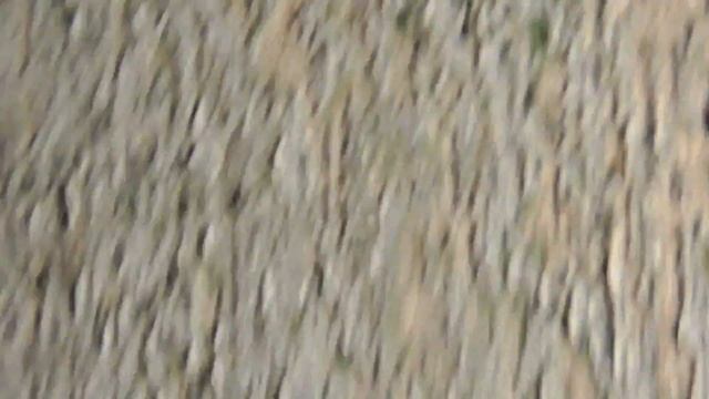 2017 08 23 04 12 07 00236 Panasonic HC V550 372 mb смотреть онлайн