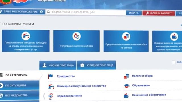 Информация о портале Госуслуг Амурской области смотреть онлайн