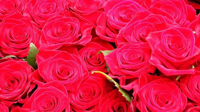 Самая красивая новинка в машину - класс! смотреть онлайн