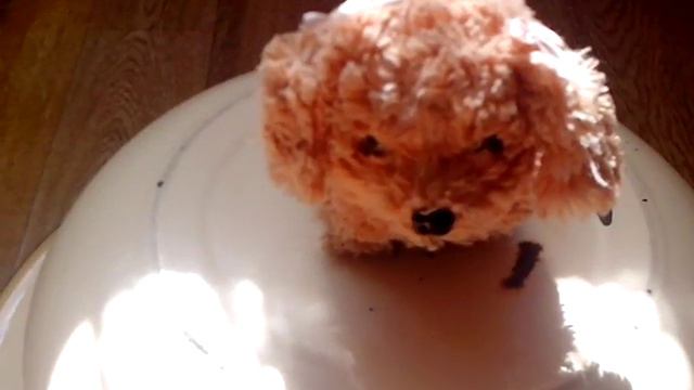 Свадьба в Песиклоте смотреть онлайн