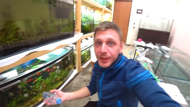 Потери на разводне. Панда на нерест смотреть онлайн