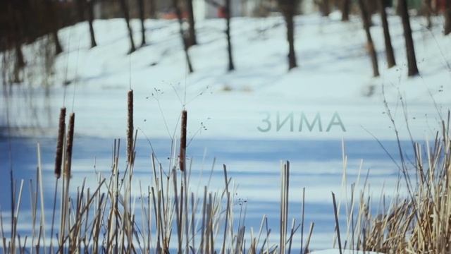 весна, лето, осень, зима... и снова весна смотреть онлайн