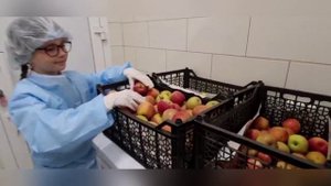 Лучшая школьная столовая