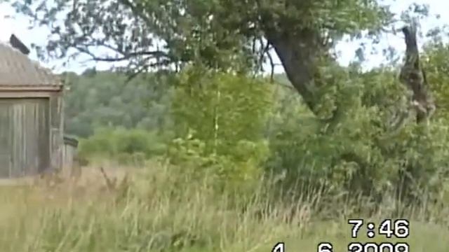 Рыбаков.Моя деревня! смотреть онлайн