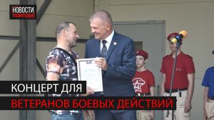 Концерт ко Дню ветеранов боевых действий прошел в Ногинске