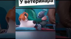 Тайная жизнь домашних животных " У ветеринара"