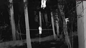 Первая охота с Arkon Alfa LT25