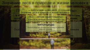 Видео- презентация "Лес наше богатство"