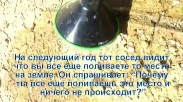 Притча про бамбук мосо смотреть онлайн