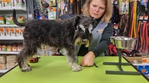 Как выбрать миску на стойке для собаки