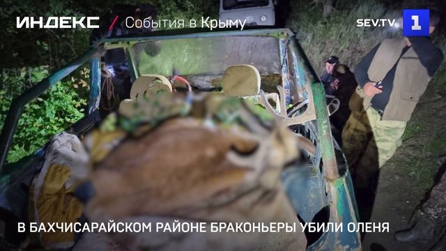 В Бахчисарайском районе браконьеры убили оленя