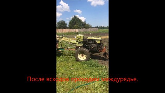 Какой мотоблок купить ? Только тяжёлый.