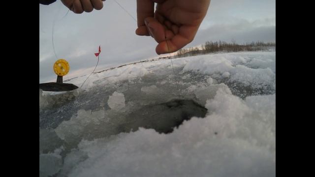 щучка на донку смотреть онлайн