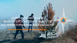 Добровольческая и волонтёрская деятельность на территории Омской области