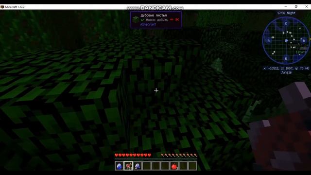 Приручаем кота | Майнкрафт 1.12.2