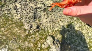 Путешествие на остров Гили Траванган - в поисках идеального пляжа