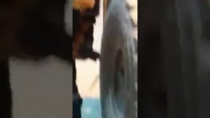 Прикол с гайковёртом