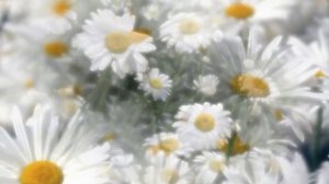 А.Шнитке(Alfred Schnittke) "Признание в любви"