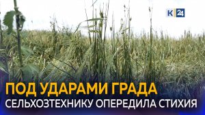 Аграрии терпят многомиллионные убытки: град и ливень уничтожают урожай на Кубани