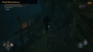 Where to find Winterberry | Lords of the Fallen (2023)