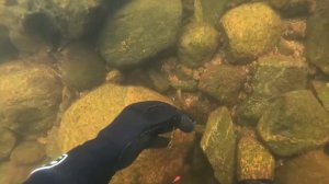 ПОДВОДНЫЙ ПОИСК БЛЁСЕН