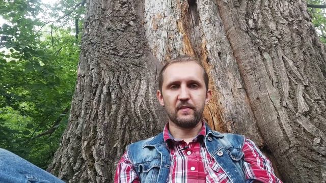 Тонкие тела, как формы нашей жизненной силы. На что влияют. Отличие от чакр. смотреть онлайн