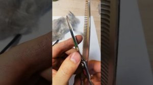 Микронасечка на филировочных ножницах.