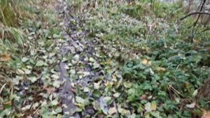 21.10.2023г. Санатории Воробьёво Малоярославецкий р-н.