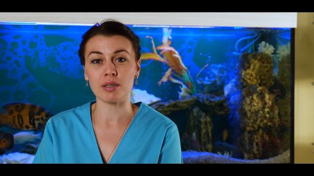 Нужно ли лечить молочные зубы смотреть онлайн