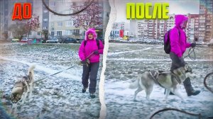 ПОВОДОК-ОШЕЙНИК "КОНТРОЛЛЕР"