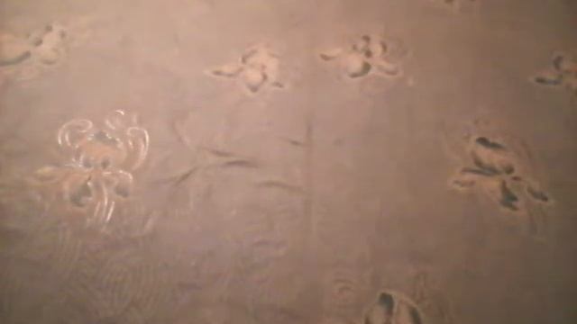 Несколько анекдотов от ксюши смотреть онлайн