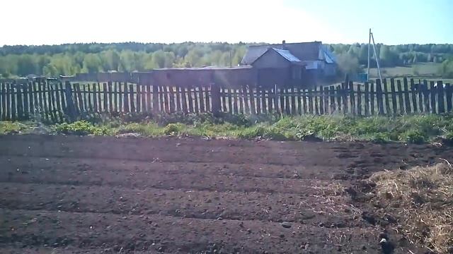 Посадка картошки под сено. 2016 год смотреть онлайн