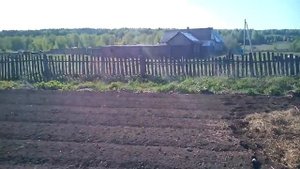 Посадка картошки под сено. 2016 год