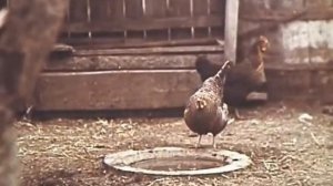 Ветхозаветная история (Свердловская киностудия) (1992)