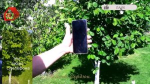 Ветер при съемке видео телефоном. Лайфхак. Ветрозащита своими руками. Запись звука на улице.
