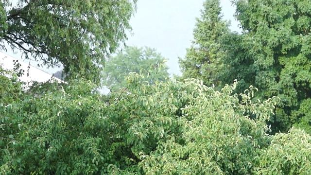 ?? Sony A37 Test смотреть онлайн