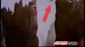 Горные козлы прыгают со скалы на скалу на большой высоте