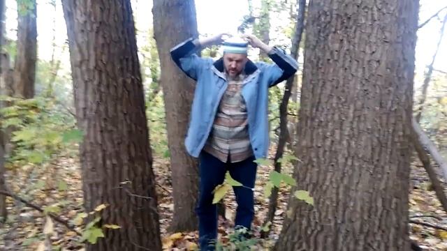 Как зарядиться энергией от деревьев/Оксскааллдорст смотреть онлайн