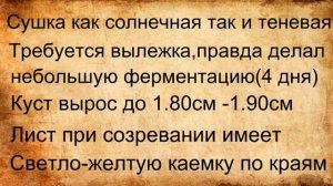 Дегустация Крымский дукат краткий обзор.mp4