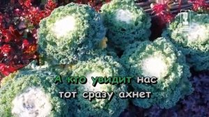 Детские   Пугательная